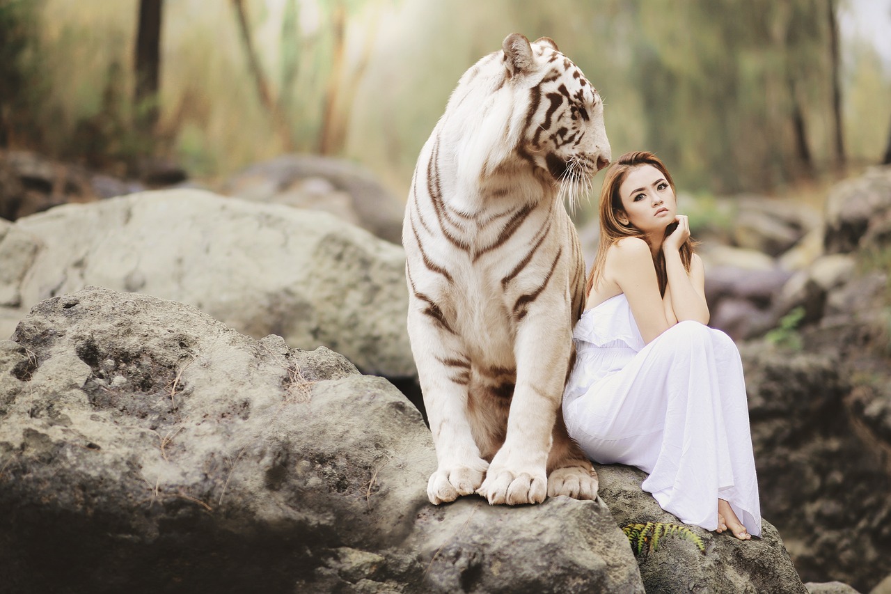 Latest Best Live Dragon Tiger Online Review 2026: Bonus, App, Withdrawal Tested