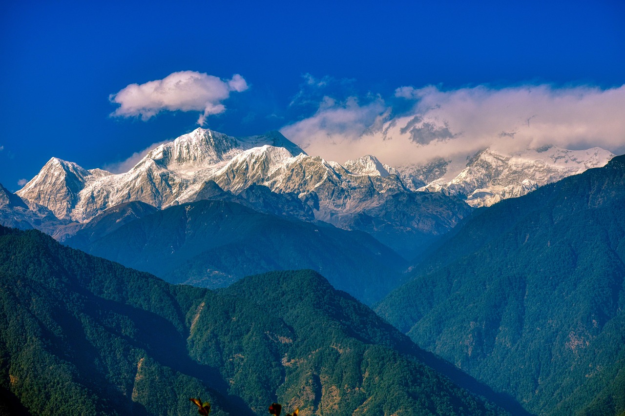 Is Sikkim Casino License in Chandigarh Legal in India? Complete 2027 Guide