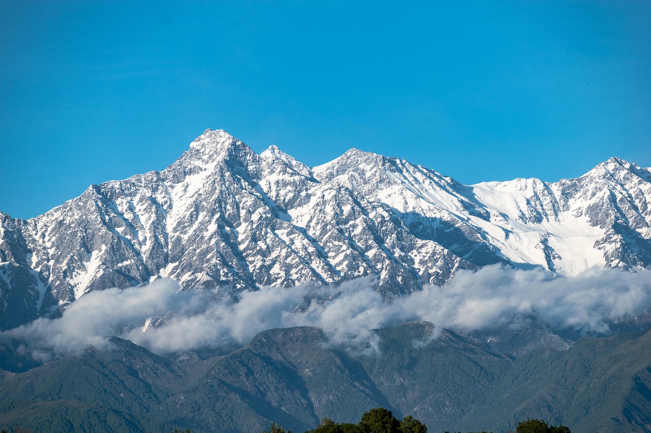 Is Best Live Casino India Login Legal in India? Full Legal Analysis 2027